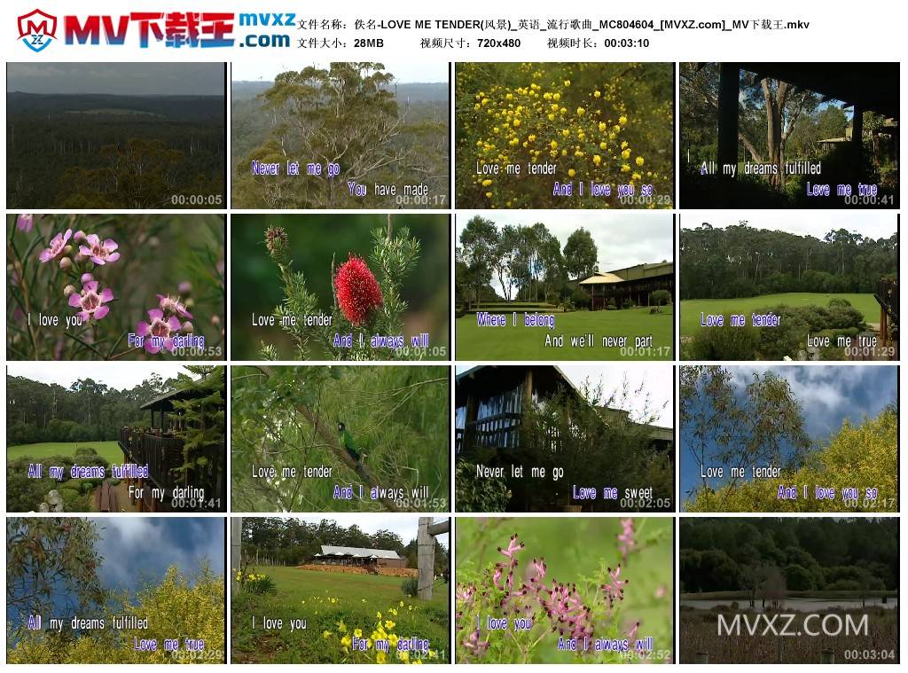 佚名-LOVE ME TENDER(风景)_英语_流行歌曲_MC804604